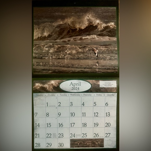 CALENDAR 2024 ART OF NATURE: Pelee Island Observatory Art Of Birds. - Picture 11 of 16